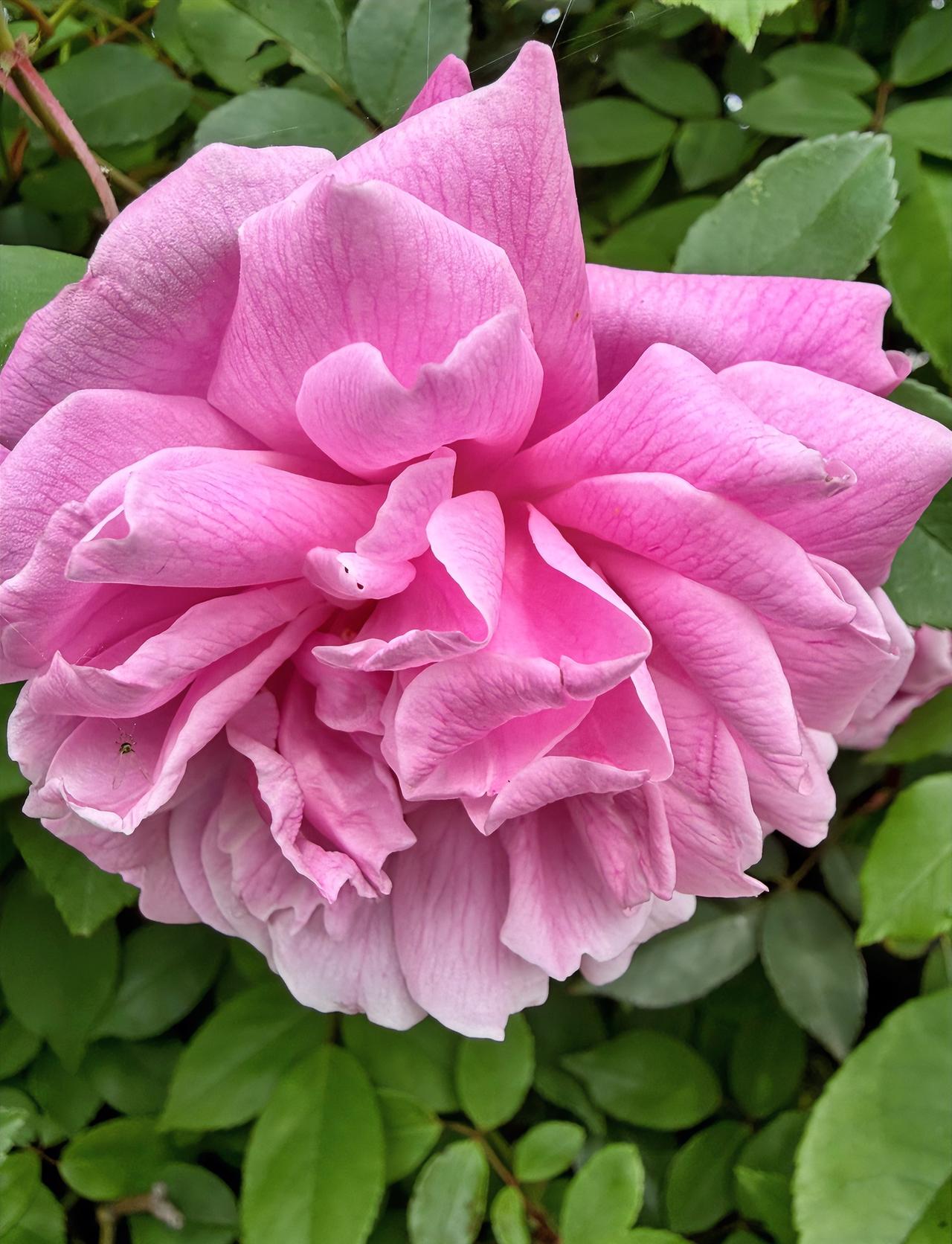 昨天大课间，办公室丁老师一番话，听得我心里很不是滋味。他说自己不打牌、不抽烟