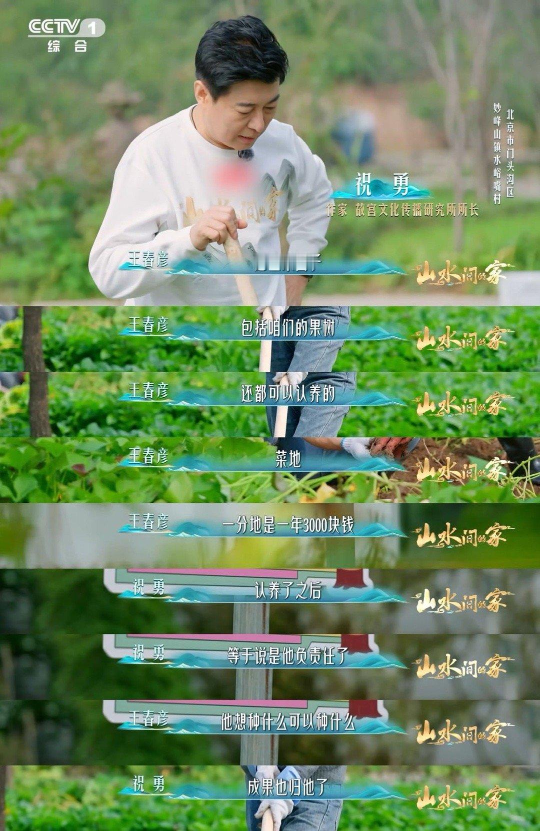 挖红薯就是早期开盲盒被红薯的繁殖能力惊到了！一根藤200多个，从土里刨出惊喜的