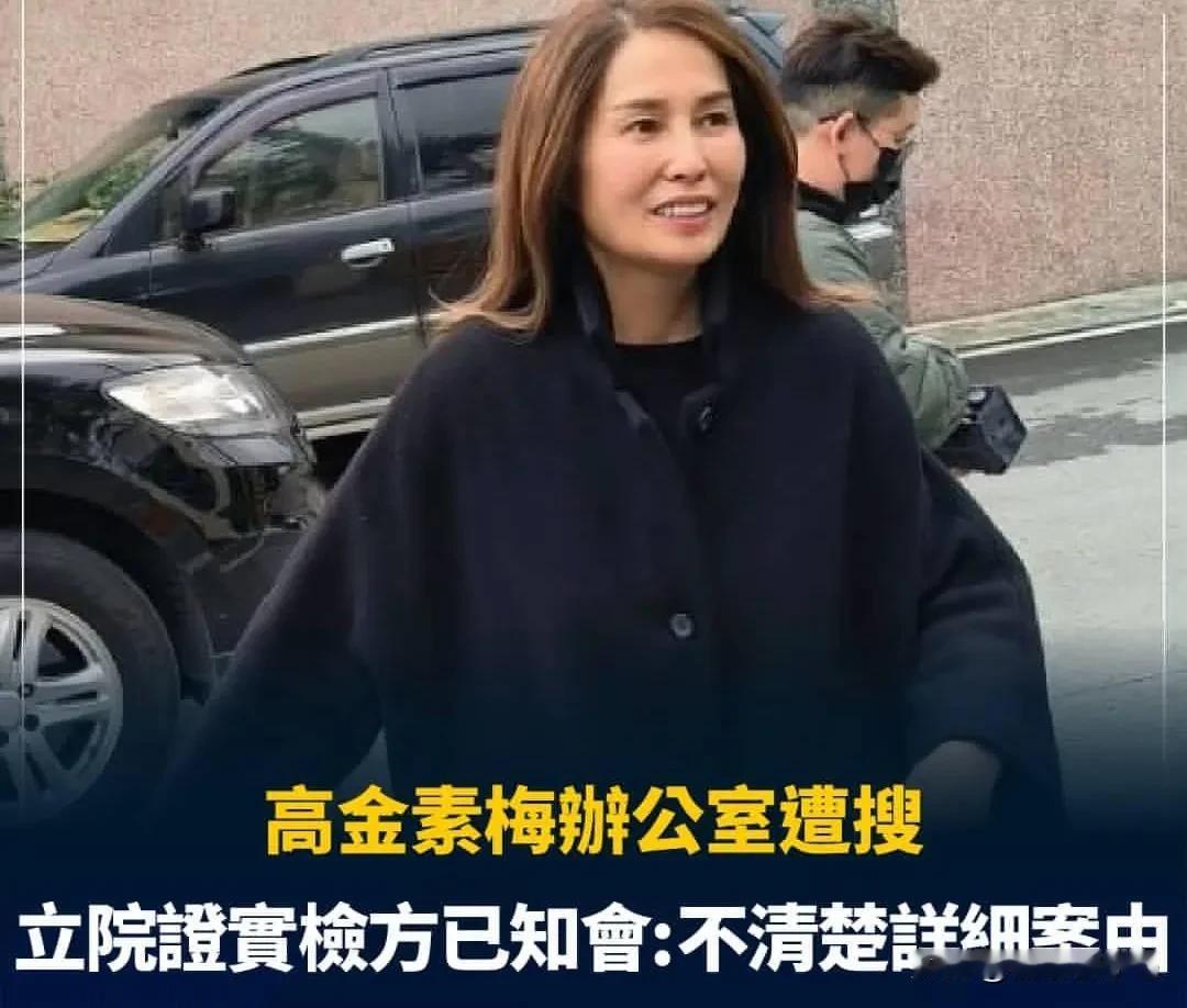 阿坚人品还是可以的！高金素梅涉贪被调查王世坚逆风力挺：她品行端正做事严谨
