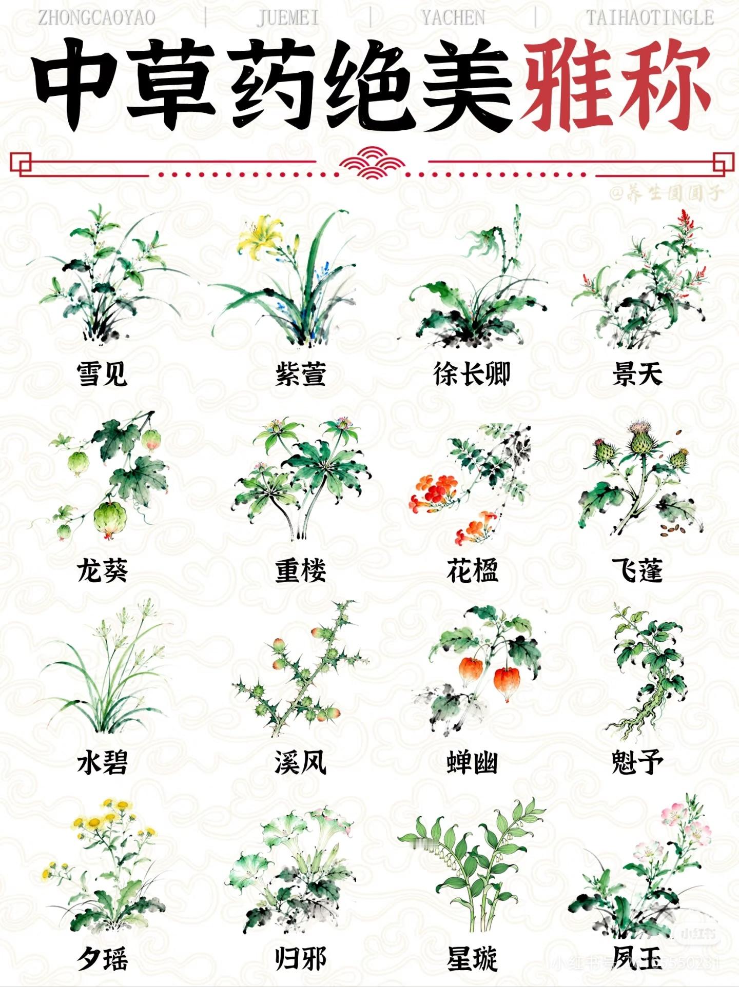 好听的中药名字