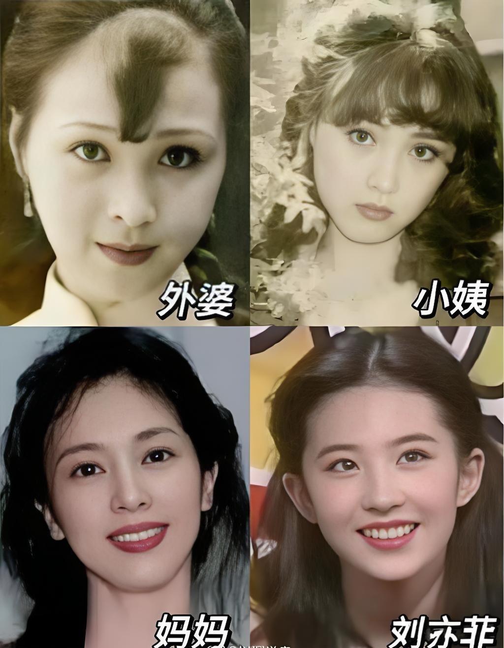 学过表演、会演戏的表情确实和普通人不一样啊，看看刘亦菲和她母亲、她外婆和她小姨的