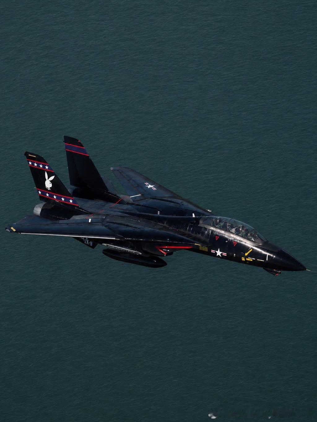 VX-9的F-14D花花公子​​​