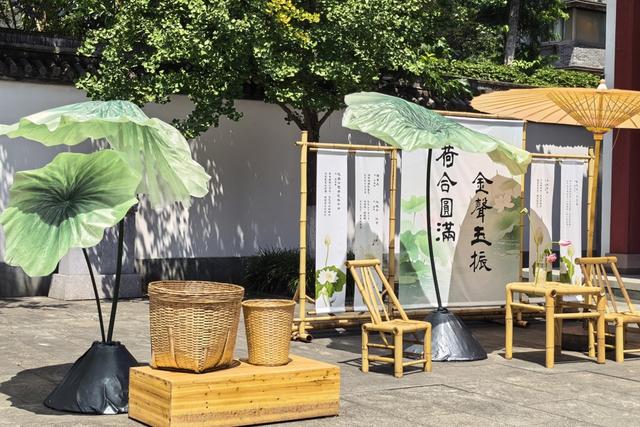 荷花成夏日顶流, 苏州、杭州如何接住这“泼天富贵”?