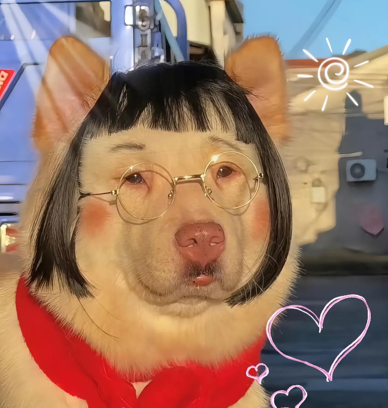 就在刚刚，美国突然传来消息！11月9日，特朗普不仅要退钱，连总统宝座也不稳。