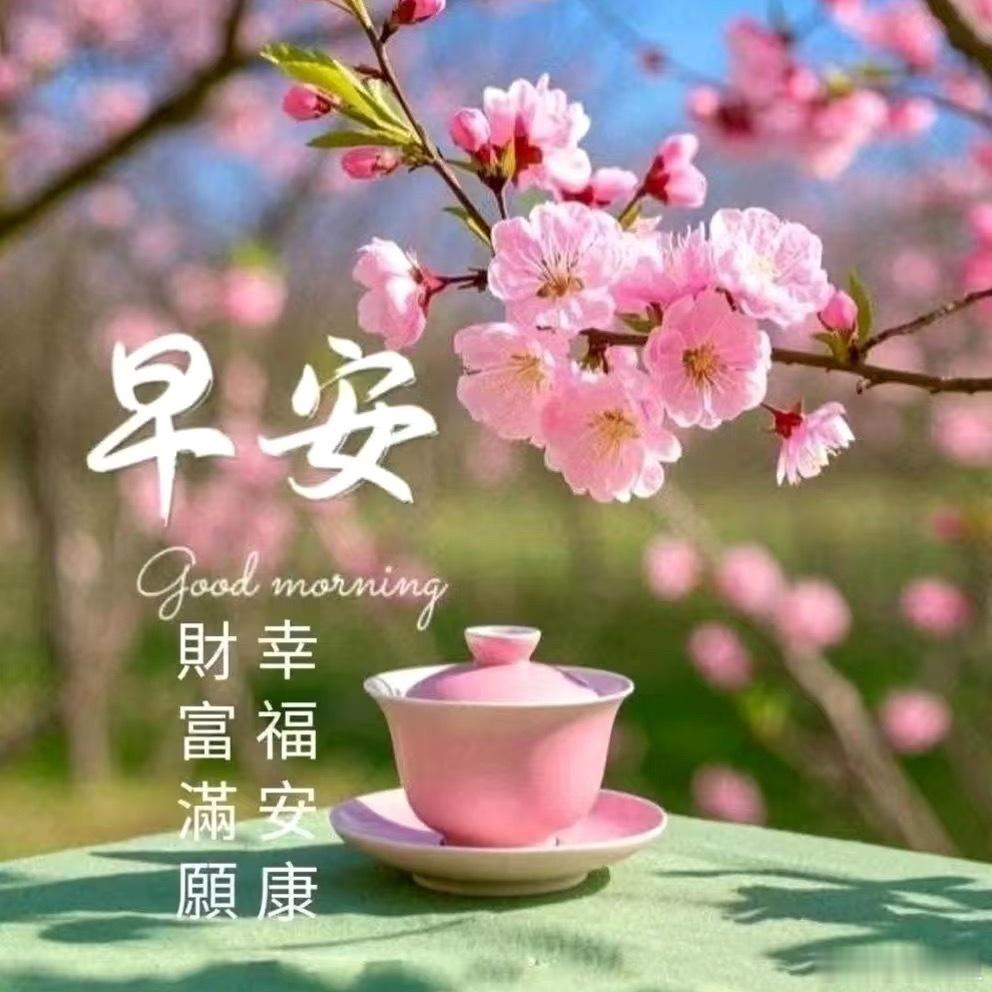 早安心语五月晴空下繁花盛放，风携温柔掠过草地，治愈所有疲惫，接住暮春的浪漫。春