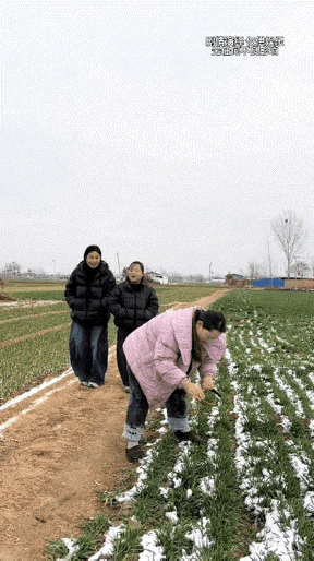 这种玩笑就不要开了吧？