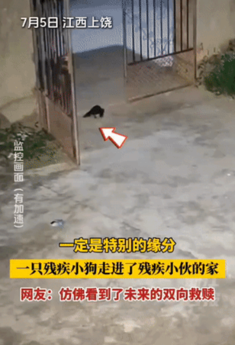 江西上饶，一只小狗踉跄着爬进一户人家院子，悄悄藏进了草丛。小伙听到草丛有动静，拄