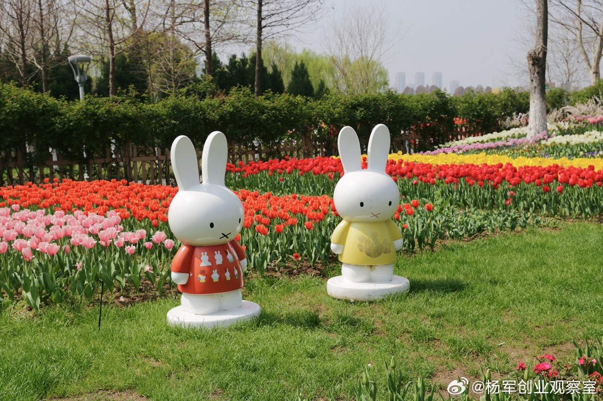 很多老板问我，为什么自己越忙，公司增长越慢？真相是：企业慢，往往不是员工动作慢，