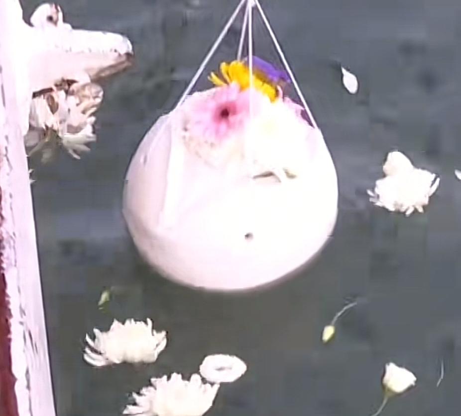 家人担心老人年纪大，知道儿子的死讯会扛不住，所以选择对其隐瞒，没想到老人得知后，