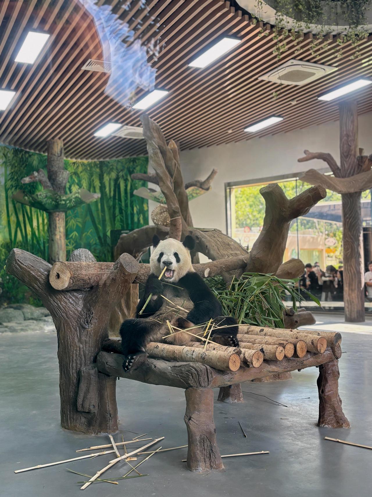 昨天去逛广州动物园，我心里就一直有个感慨：20块钱的门票，性价比真的高到离谱！