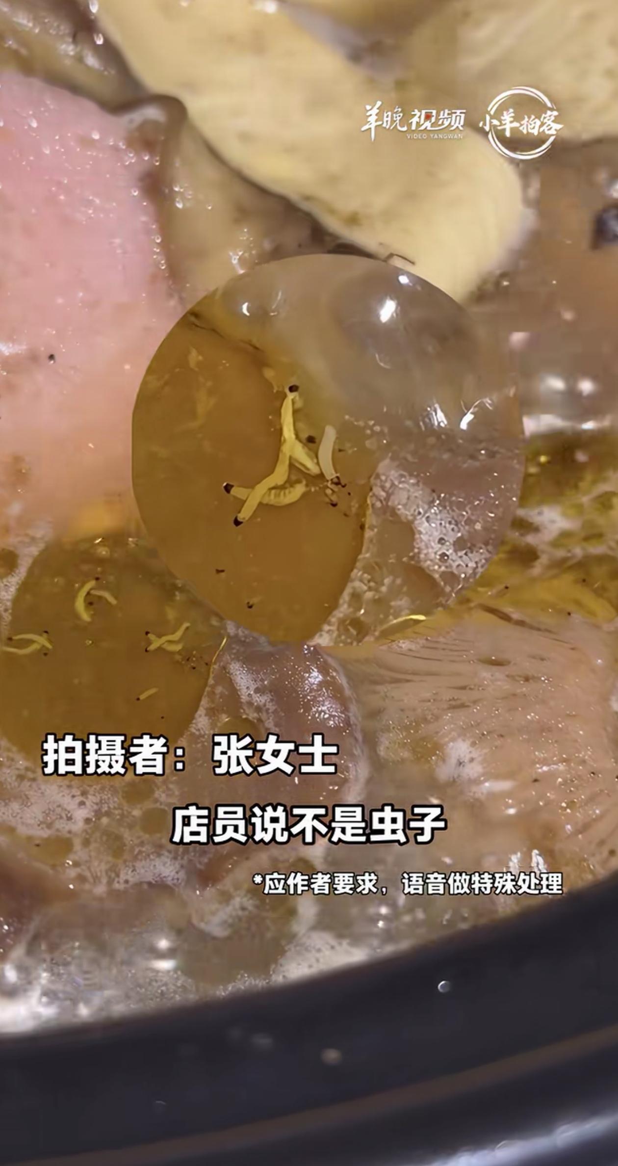 “睁眼说瞎话！”云南昆明，女子去吃当地的特色菌子火锅，煮开后发现里面有好几条小虫