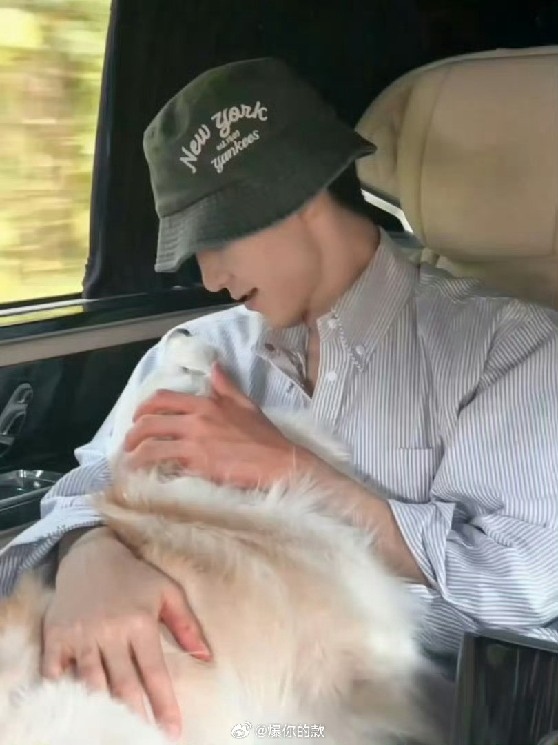 陈哲远的大米饭被狗狗吃了夺饭之仇，不共戴天！陈哲远：那可是我的命根子（大米饭）