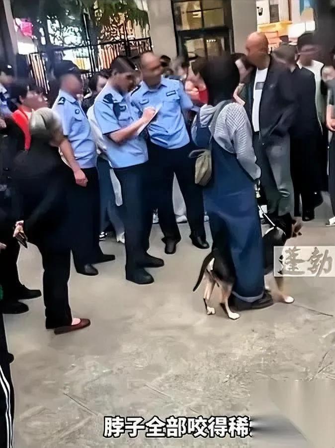 遛狗只牵绳？大错特错！最近四川眉山那起狗咬人事件，真的看得人后背直冒冷汗