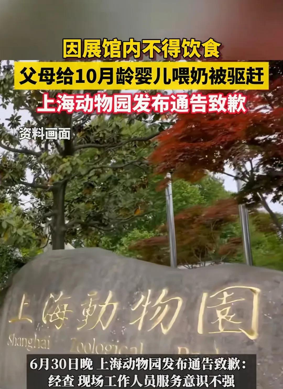 谁懂带娃出门的心酸？最近，上海动物园这事儿可把人气坏了！6月14号，茅先生一家