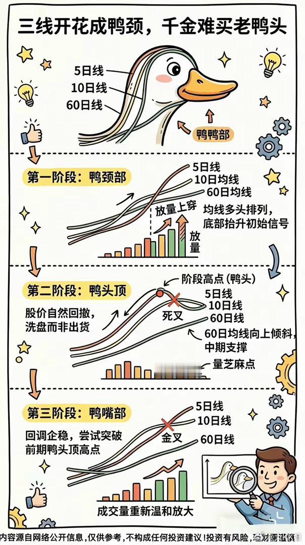 股市老口诀“老鸭头”来了，看懂形态更要懂陷阱股市经典形态老鸭头，分鸭颈、鸭头、鸭