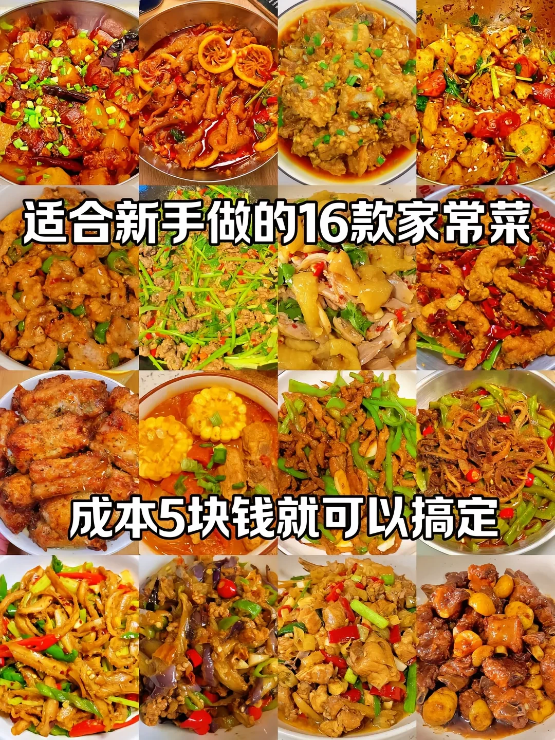 适合新手做的16款家常菜！！！