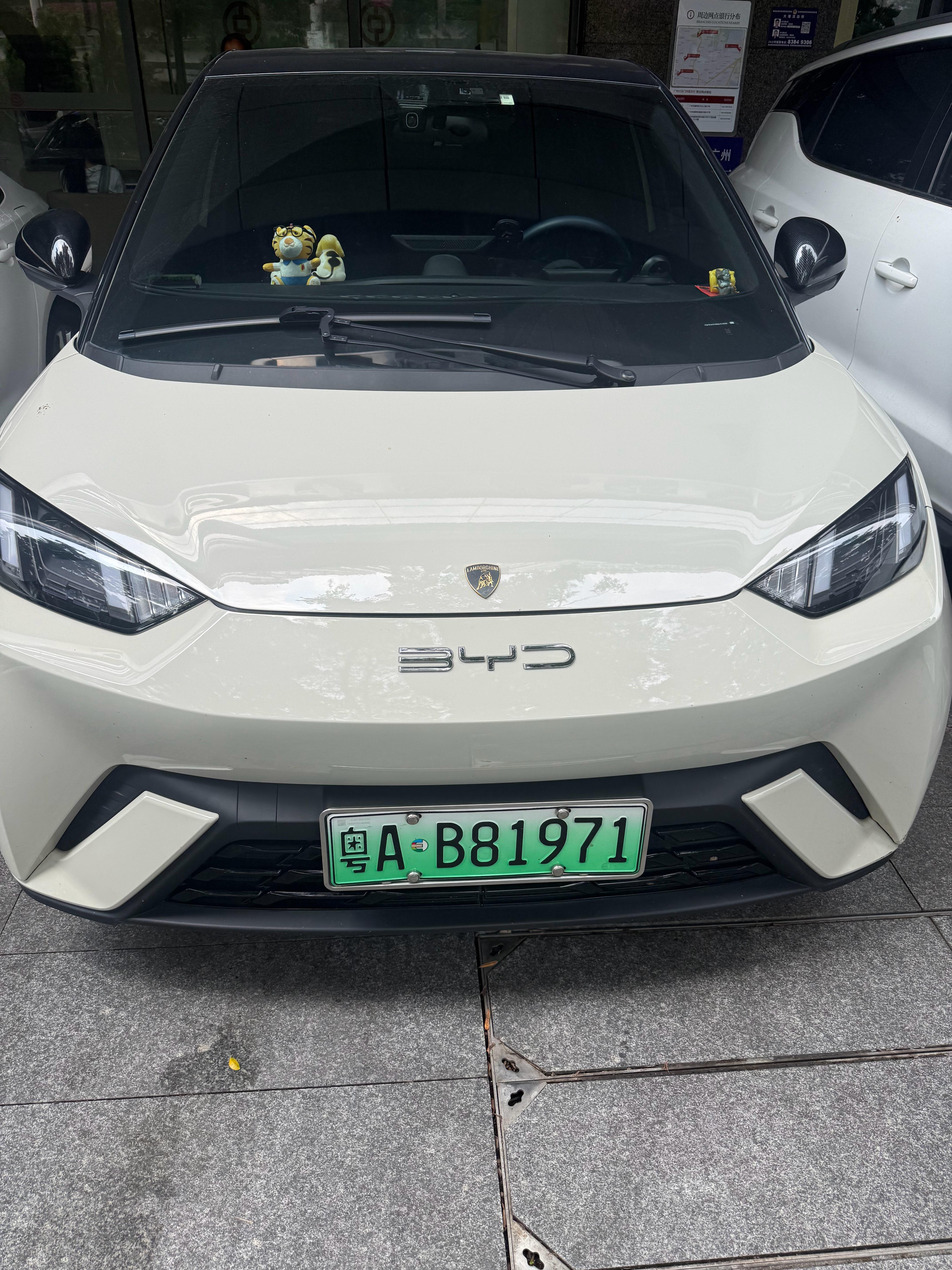 林宝的车，一般不要停户外！淋雨后，就变成海鸥了……