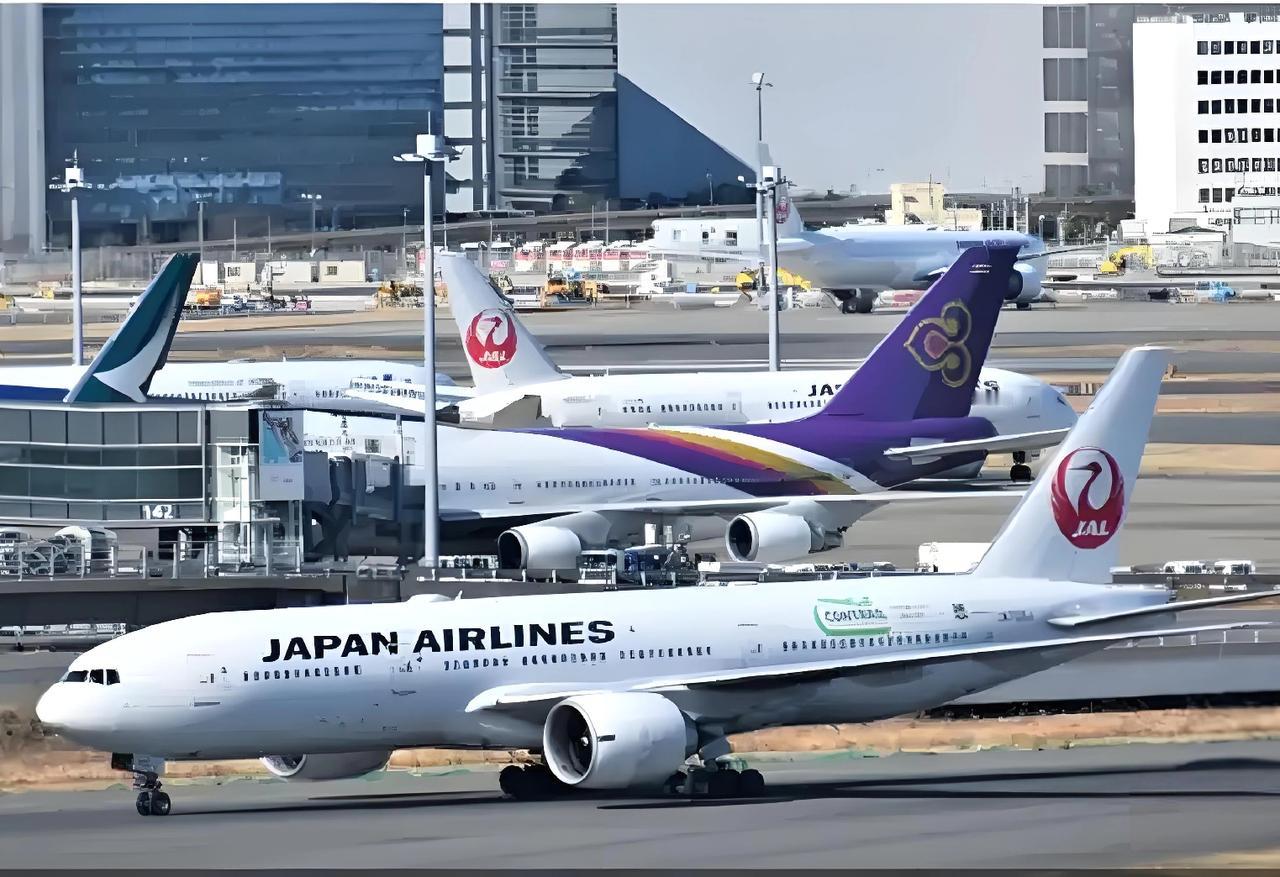 专门咨询了一位航空公司的朋友，我问他：由于高市早苗的挑衅言论，中国取消了12条中