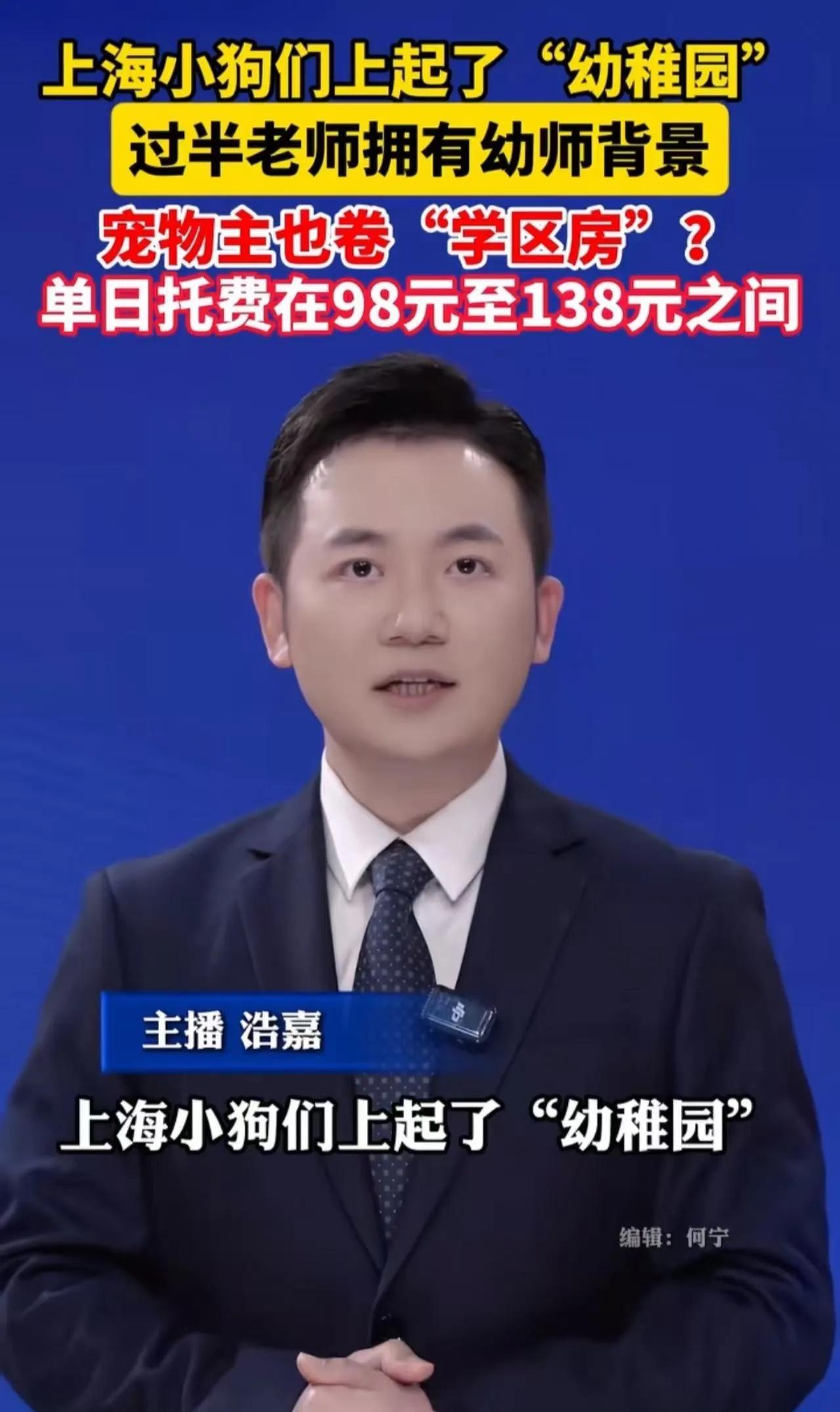 “这个世界太疯狂了，人活的像狗，狗活的像人！”上海小狗上起了幼儿园，幼师持证上