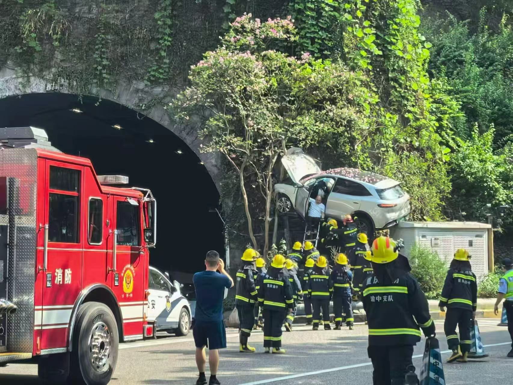 这是正儿八经地挂树上了……