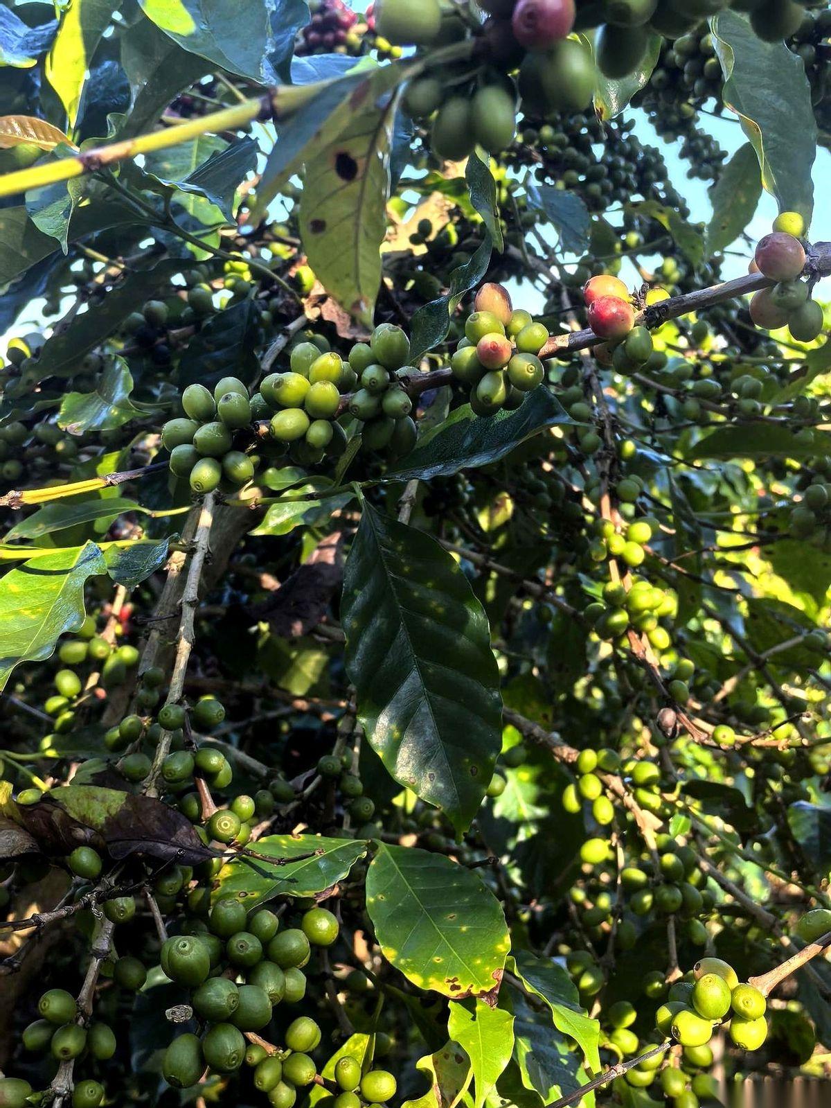 招两个保安，月薪五千。最后来的一个34，以前是小老板。另一个32，上一份干技术