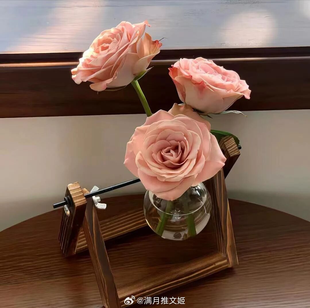 想念一个人是一件淡淡的事情像雨打屋檐又滑过像花开满枝又散落——黄锐晚安