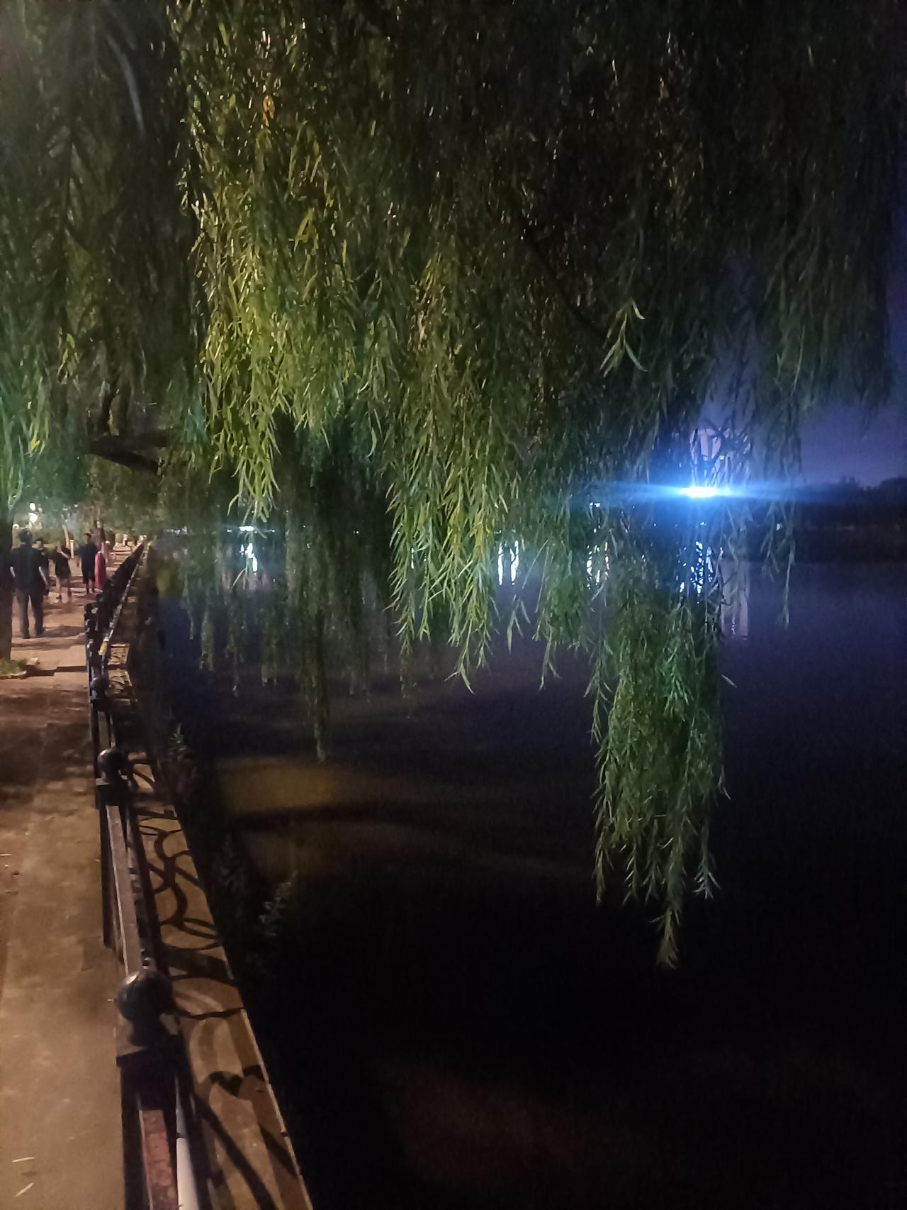 柳影浸寒宵​灯痕落静沼闲游园畔路​清景入襟怀