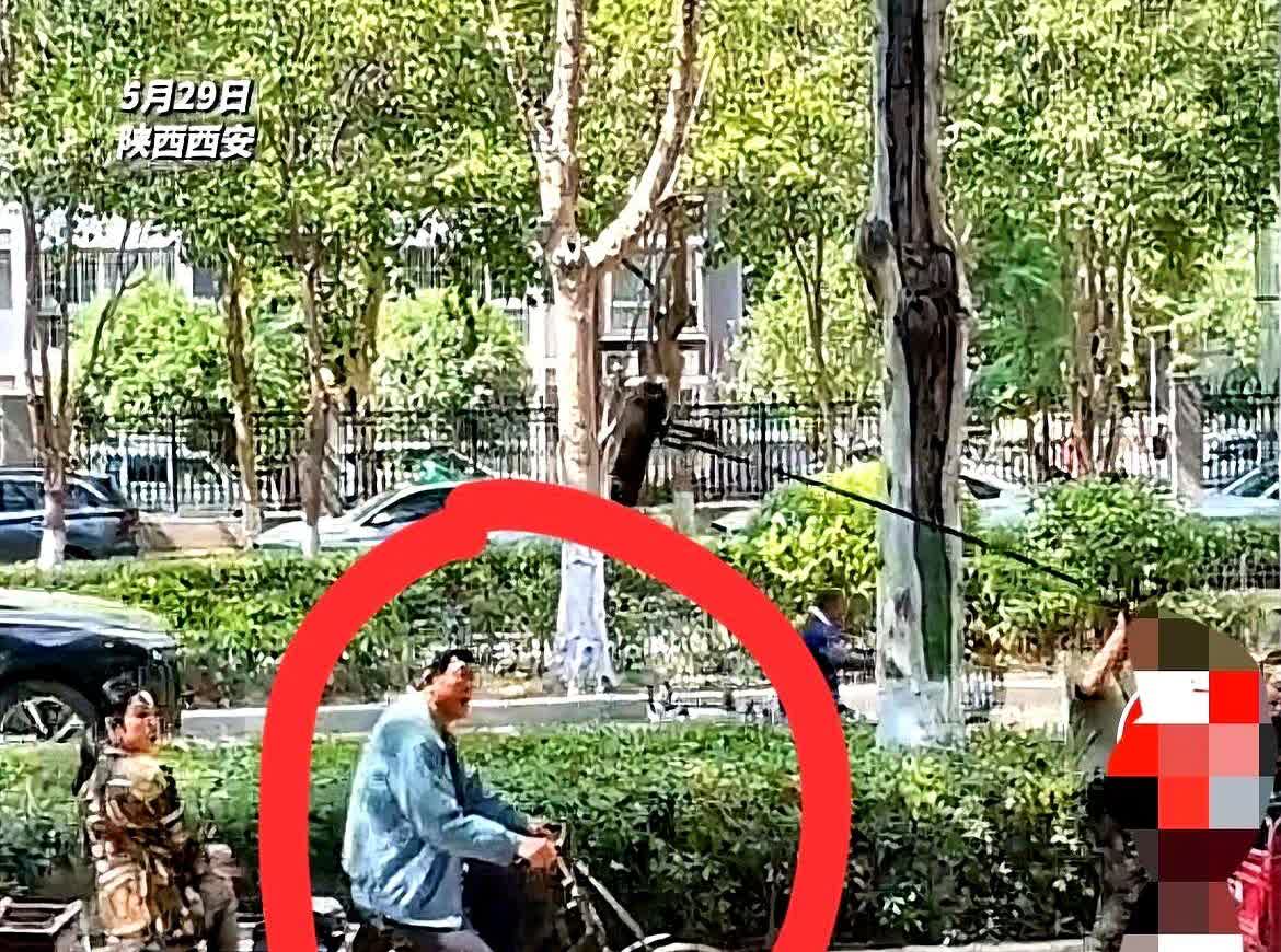 张嘉译火了！不是因为他演戏演的太好，也不是因为他做了什么见不得人的事情，