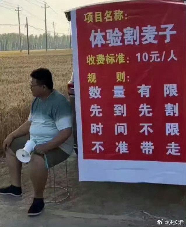 把“麦子”换成“韭菜”！是不是去体验的人更多！[doge]​​​​