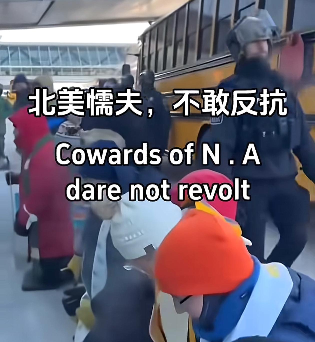 历史的回旋镖！北美懦夫一词，已经在外网火起来了！