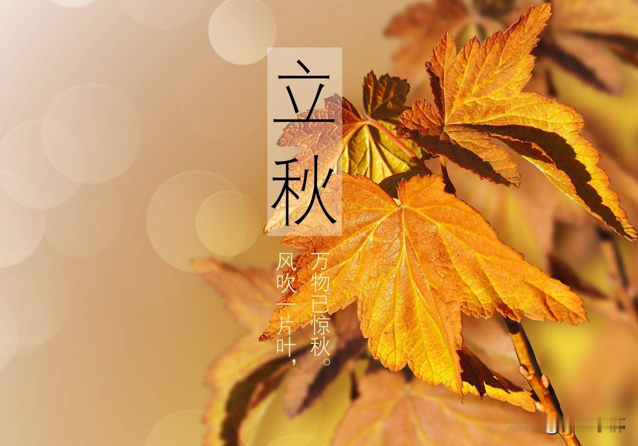 上午立秋冷飕飕，下午立秋热死牛！今年立秋几点，都有啥说法？每到立秋前夕，老