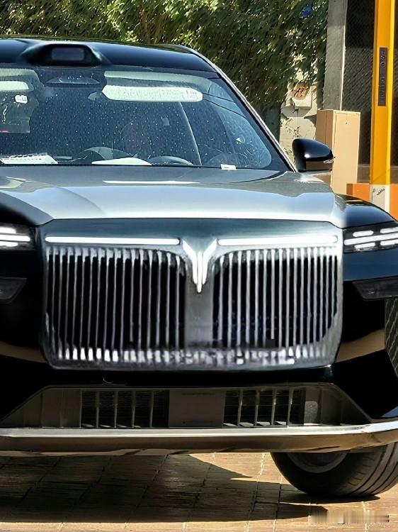 大六座旗舰岚图泰山，它是武汉岚图汽车科技有限公司2025年11月18日上市的全尺