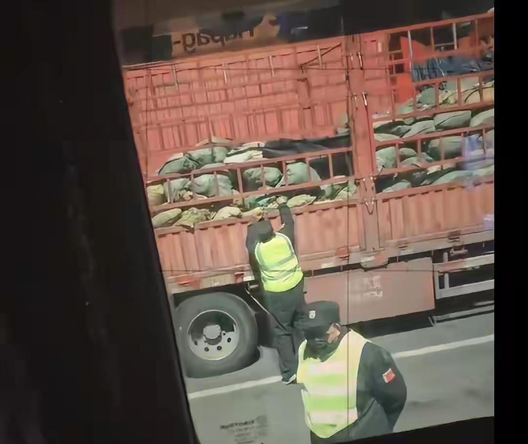 11月9日，有网友发布视频称，山东莱芜北服务区内有两名疑似保安在当天凌晨盗取货车