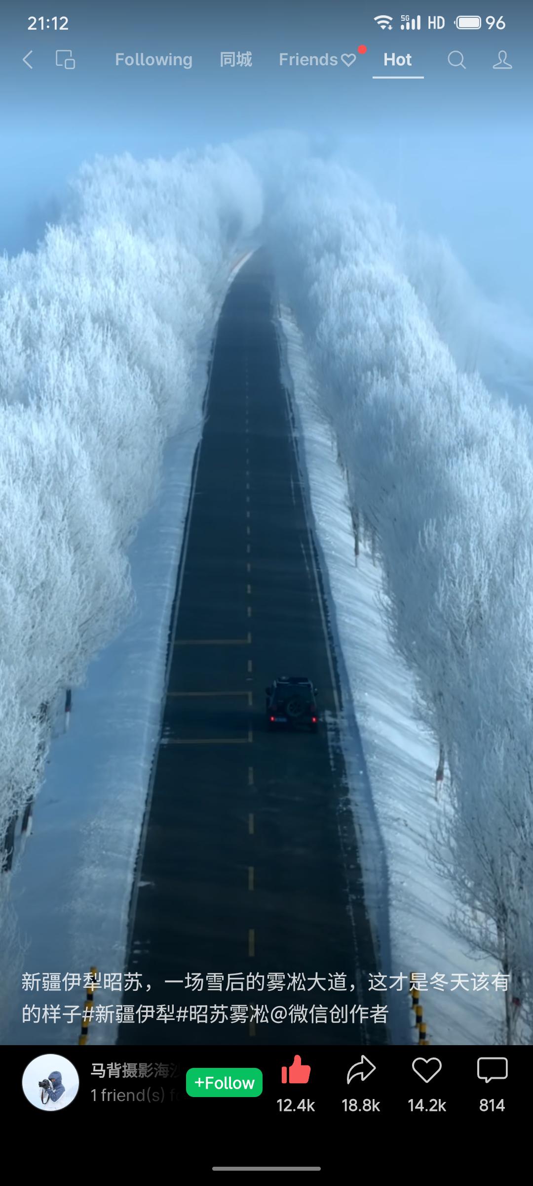 新疆伊犁昭苏，雪后初霁，化身童话仙境。雾凇大道两旁，林木凝霜挂雪，宛如玉枝琼条。