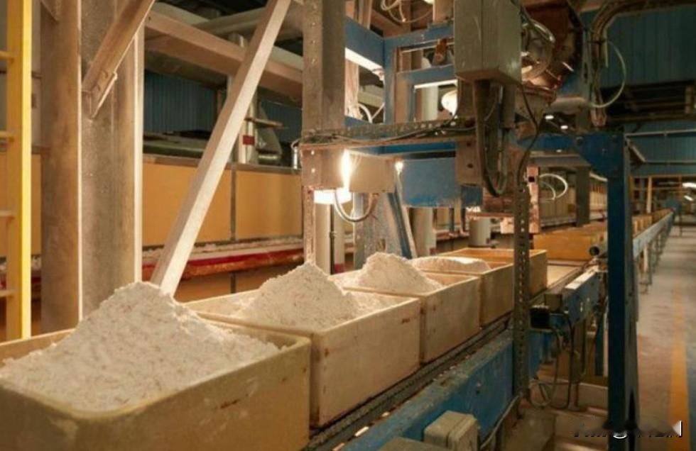 澳洲没想到自己花重金挖走东大稀土团队，以为能终止这个稀土霸权，结果却发现东大早就