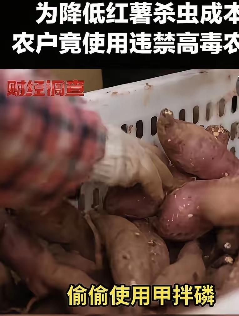 一直以为红薯这些长在土里的会很安全，没想到农户为降低红薯杀虫成本，竟使用违禁高毒