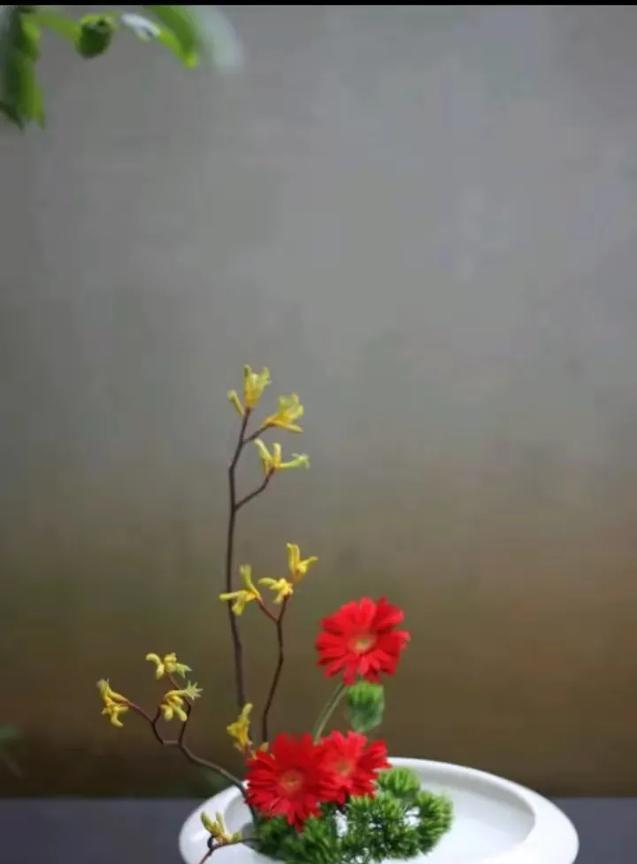 极简风插花，一枝一叶尽显自然之美。