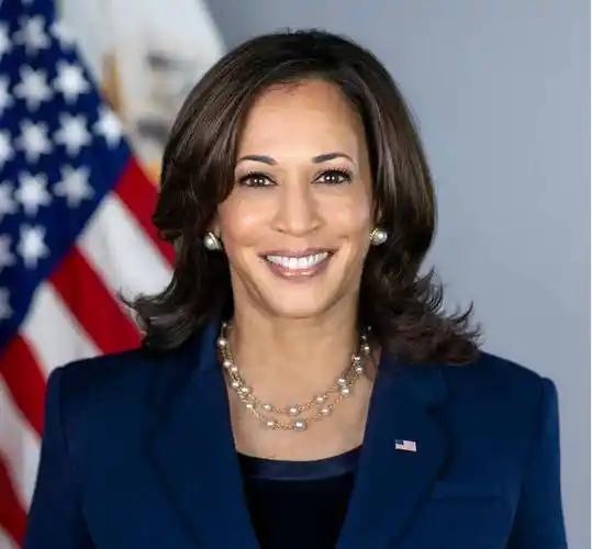 哈里斯又杀回来了！当地时间10日，根据外媒报道，美国前副总统卡玛拉·