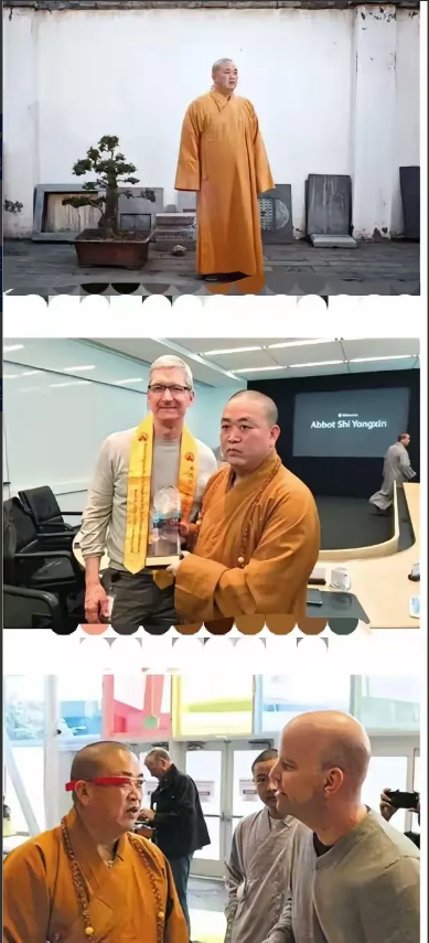我有种预感科技巨头们追逐禅宗智慧，会在算法森林里种出菩提树。2014年释