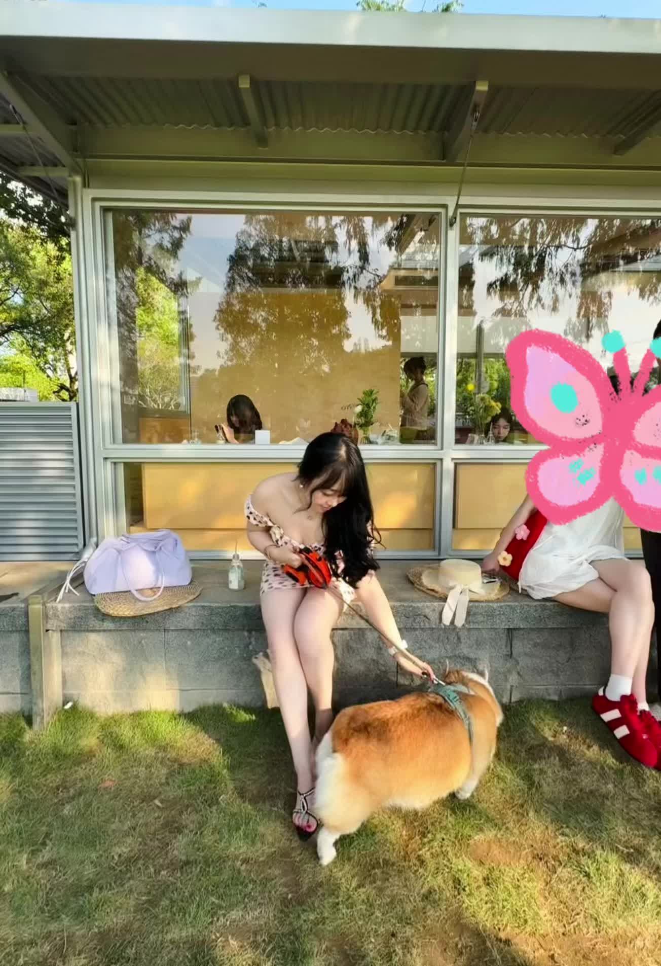 小狗狗来了