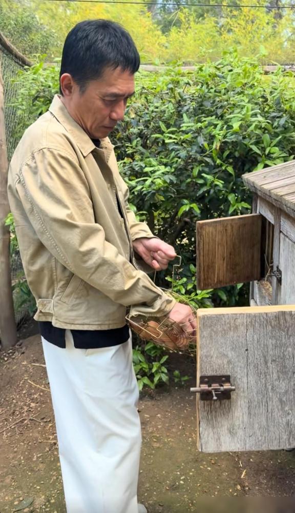 梁朝伟不知道养了多久的鸡了，鸡房子日晒雨淋都有时间感了，还提着金属篮子熟练地捡鸡