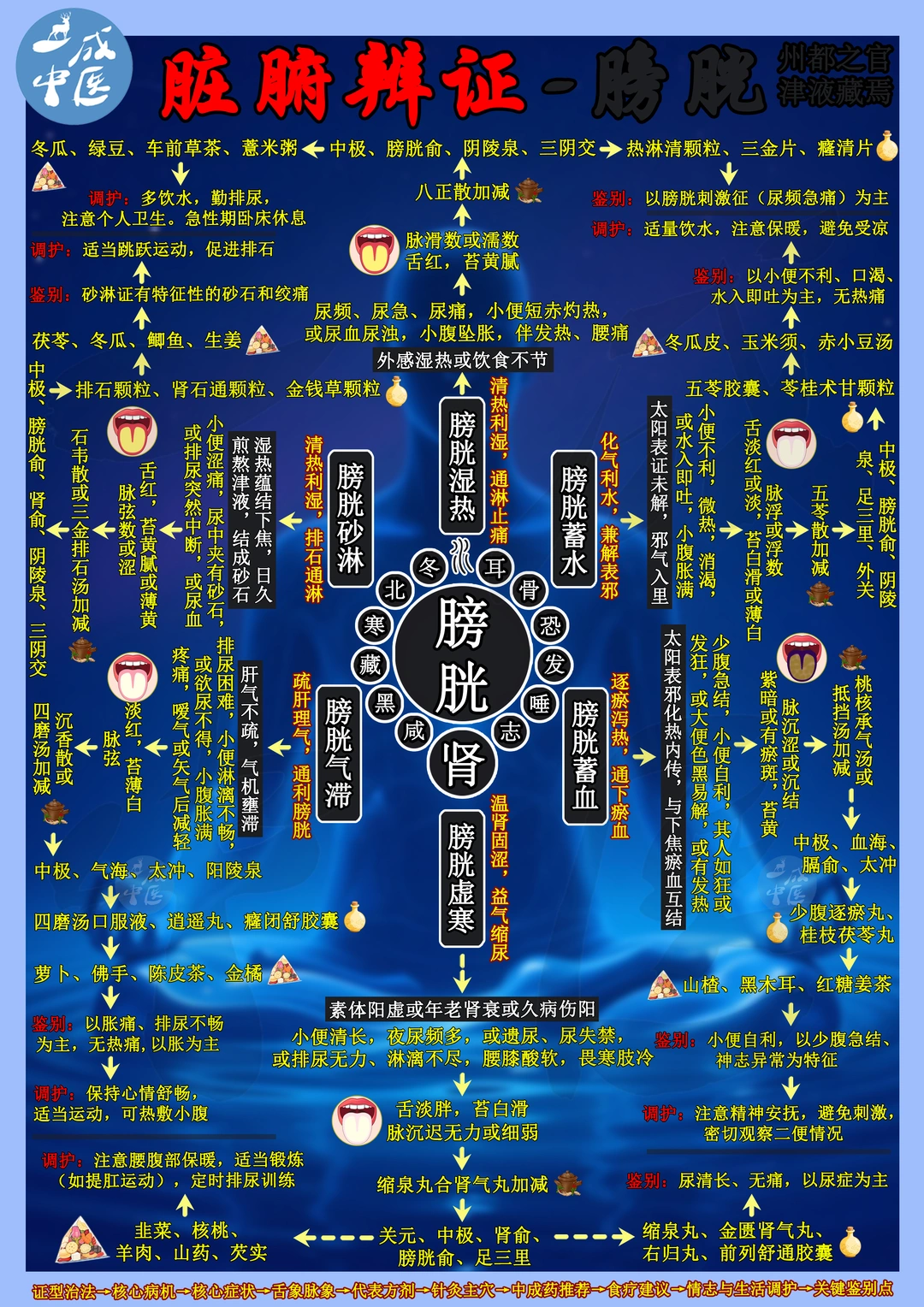 脏腑辨证-膀胱！