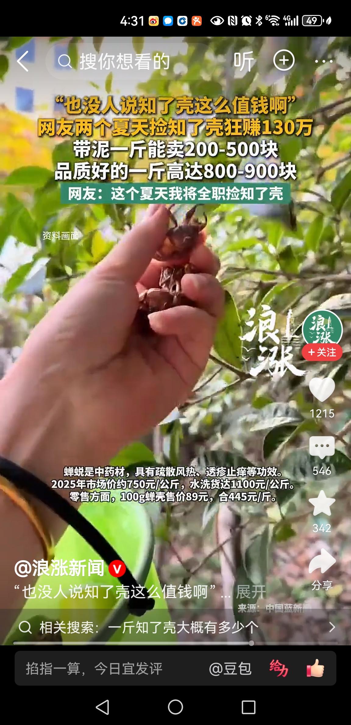 这知了这么值钱吗？网友爆料：自己捡了两个夏天的知了，万万没有想到，居然发了一