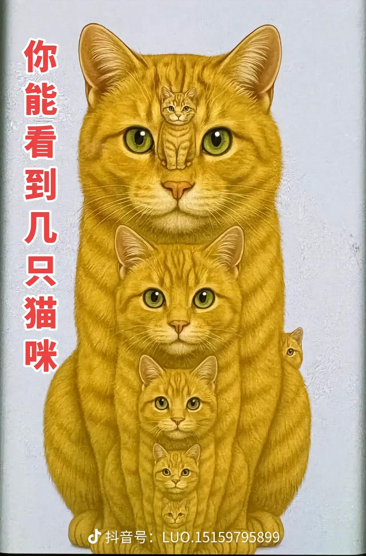 据说能看到7只猫的，2026年必须_马到成功