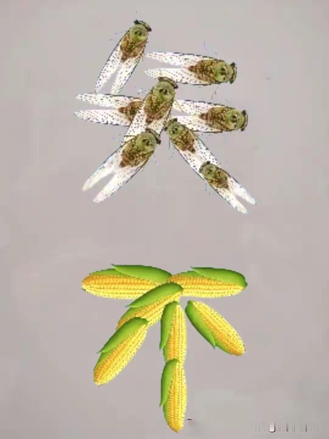 看图猜成语！我看网友给的答案都是“矢志不渝”，用玉米组成一个“不”字，谐音“不渝