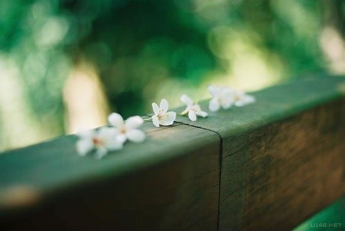 越来越感觉到，人生最有趣的东西，决不是自己对事物产生的各种经验和看法，也不是各种