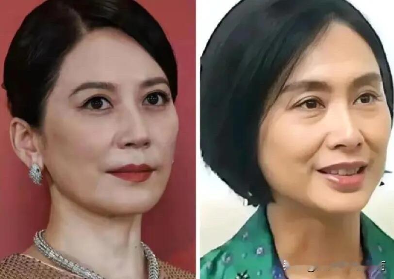 都是54岁的中年女人，朱茵老的像大妈了，俞飞鸿还是那么美艳动人。从面相来说，