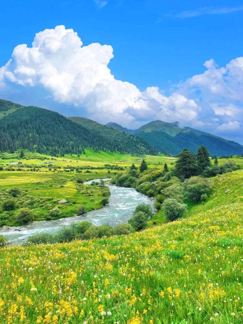 那些跟你说我们家的孩子从来没有上过课，补课没有用的家长，你千万不要听，你应该问问