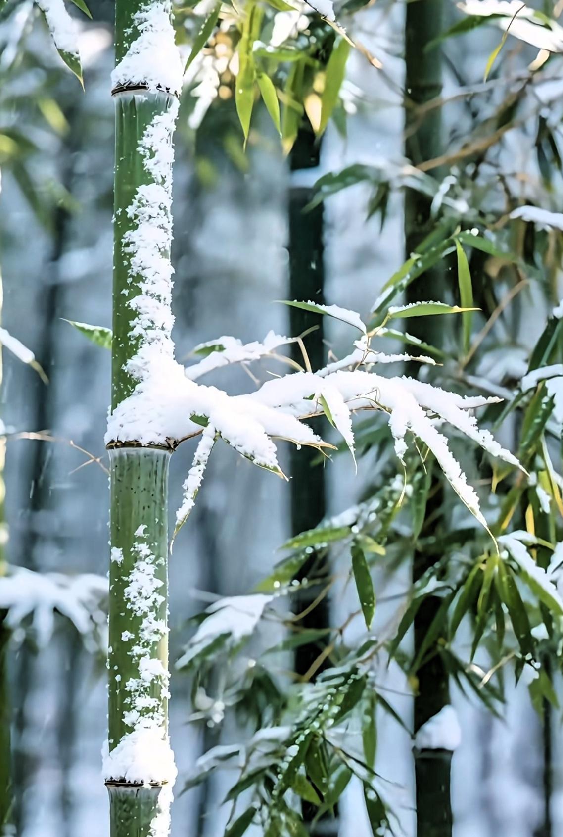 说一个比较扎心的，其实我们很多人，根本活不到80岁。2025年的死亡数据里，
