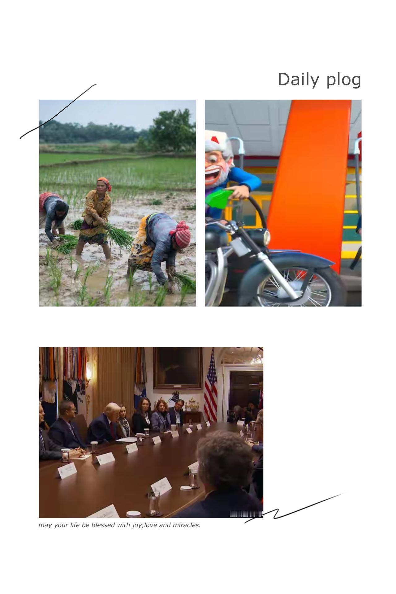 中印都占了美国大米市场，为啥特朗普只敢怼印度，却对中国视而不见？印度网友直接破防